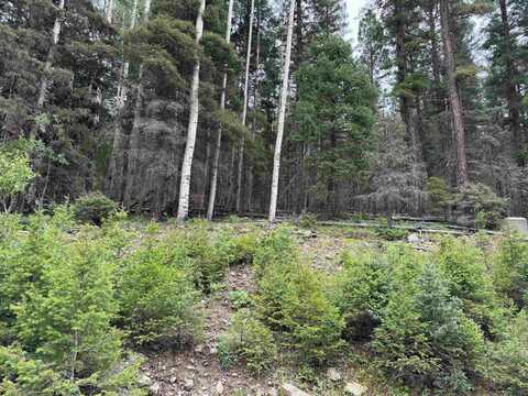 Lot 141 Back Basin Rd, Angel Fire, NM 87710