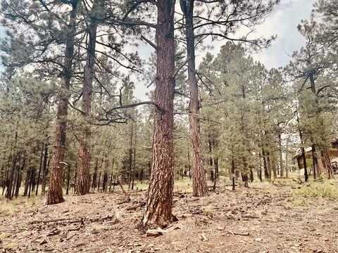 Lot 12 Sawmill Way Loggers Ridge, Angel Fire, NM 87710