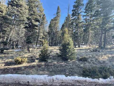 Lot 1298a Pleasant Valley Overlook, Angel Fire, NM 87710