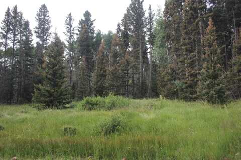 Lot 34 Pleasant Meadow Drive, Black Lake, NM 87710