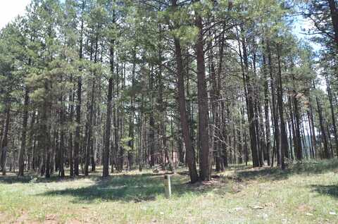 Lot 1 Block 2 Columbine Terrace, Angel Fire, NM 87710