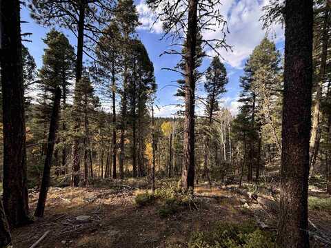 Lot 11 Lakewood Way, Angel Fire, NM 87710