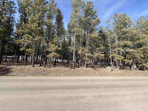 Lot 563 Lake View Park Dr, Angel Fire, NM 87710