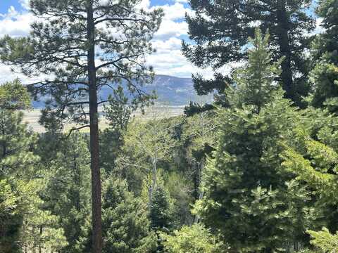 Lot 91ab Pam Coleman Drive, Angel Fire, NM 87710