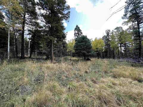 Lot 1174 Cheerful Way, Angel Fire, NM 87710