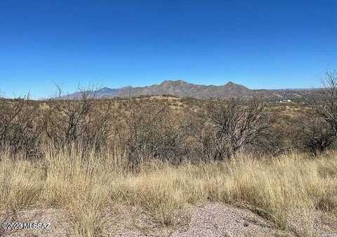 1140 Via Cacto, Rio Rico, AZ 85648