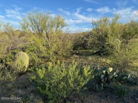 15044 Moffat Place S, Tucson, AZ 85736