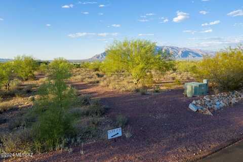 2830 W Black Cloud Court, Tucson, AZ 85745