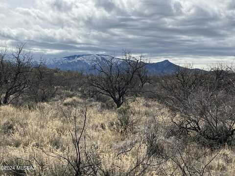 1.66 acres W Linda Vista Road, Oracle, AZ 85623