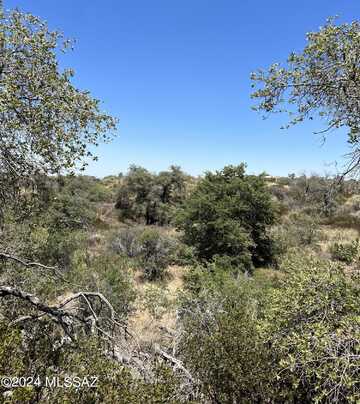 2.5 acre W Oak Hills Drive, Oracle, AZ 85623