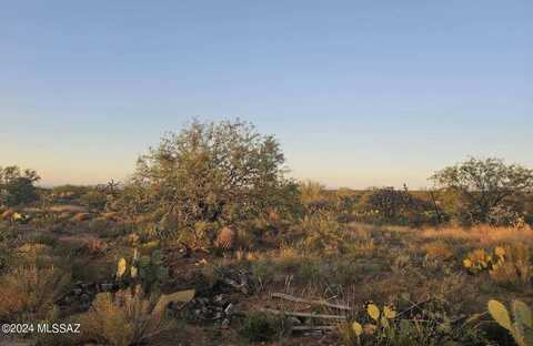 14907 S Carlsburg Avenue, Tucson, AZ 85736