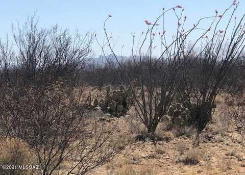 TBD Camino Obregon, Tubac, AZ 85646