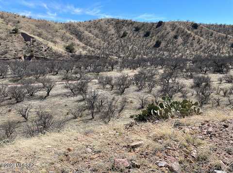 TBD Sonoita Creek Ranch Rd, Rio Rico, AZ 85648