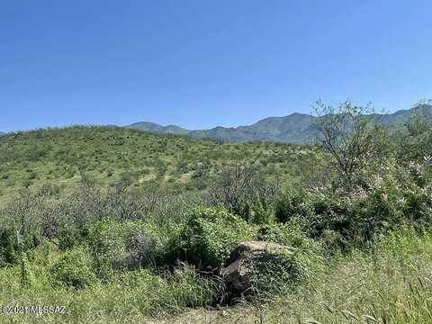 TBD Tejano Springs Rd, Rio Rico, AZ 85648