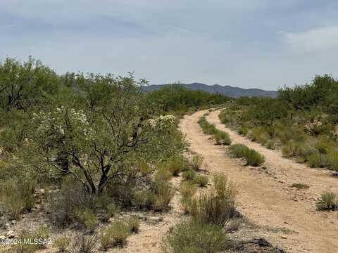 14823 S Carlsburg Avenue, Tucson, AZ 85736