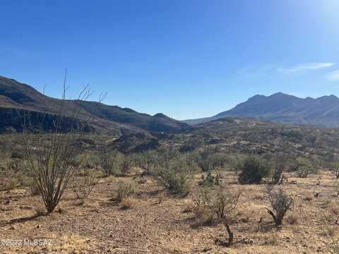 TBD Camino Josefina, Tubac, AZ 85646