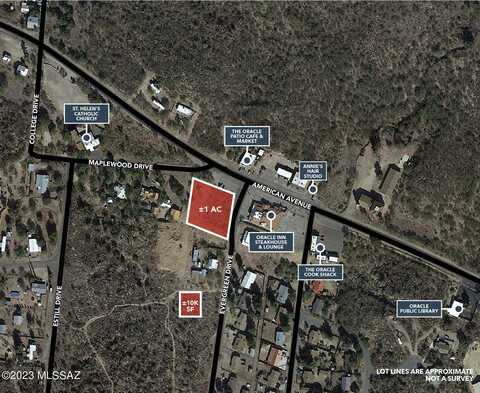 +/-1 acre E American Ave, Oracle, AZ 85623