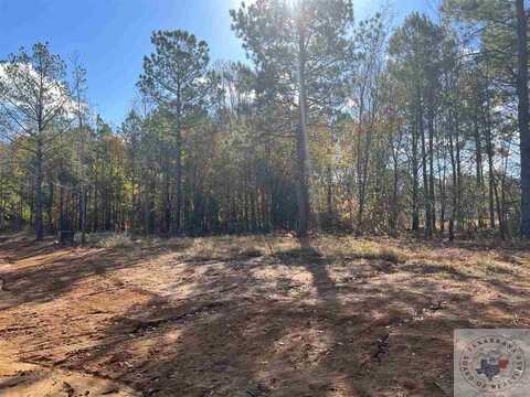 8109 Gadwall Trail, Texarkana, TX 75503