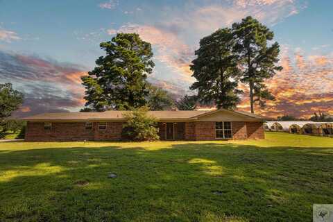 8481 Farm To Market Road 1841, Bivins, TX 75555