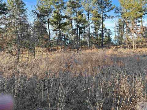 Lot 17 Winding Pines Road, Kirby, AR 71959