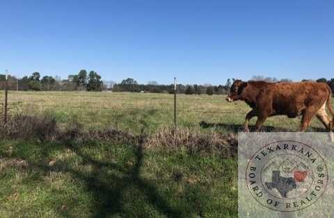 CR 4260, Simms, TX 75574