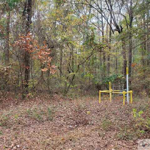 60 acres PR 1102, Fouke, AR 71837