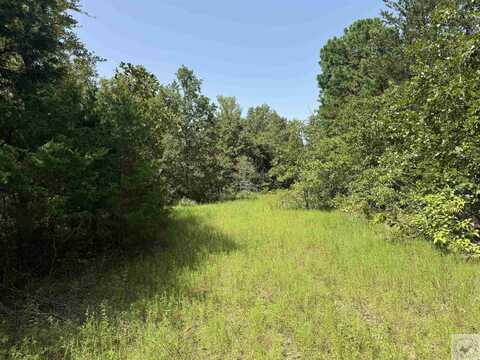 1969 S FM, Avinger, TX 75603