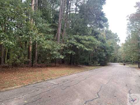 TBD Woodland Lake Estates, Atlanta, TX 75551