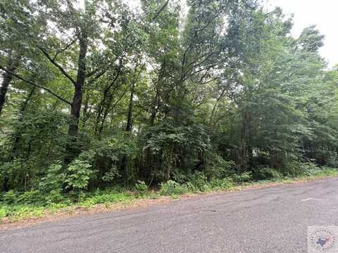 Lot 15 Lakeview Dr, Texarkana, TX 75503