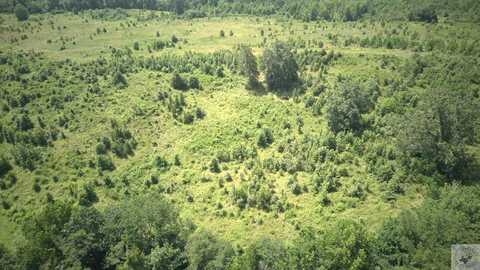 TBD Porter Lane 103.5 Acres, Out of Area, AR 71935