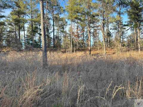 Lot 18 Winding Pines Road, Kirby, AR 71959