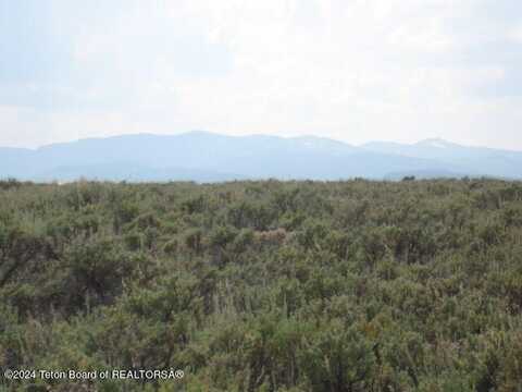 OLD BRAZZILL, Pinedale, WY 82941