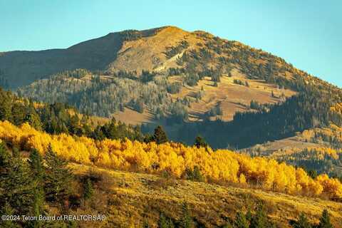 Lot 7 TBD MAIL CABIN Drive, Victor, ID 83455