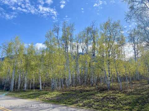 LOT 66 MUDDY STRING RD, Star Valley Ranch, WY 83127