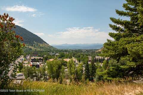 1090 BLUFFS Drive, Jackson, WY 83001