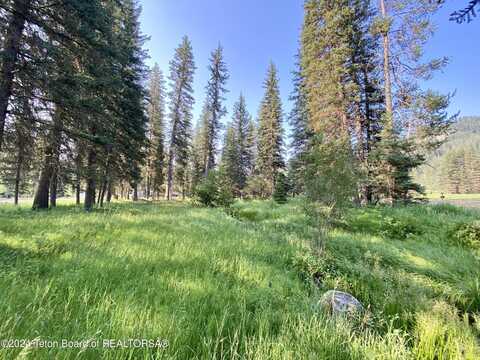 15465 WAGON Road, Jackson, WY 83001