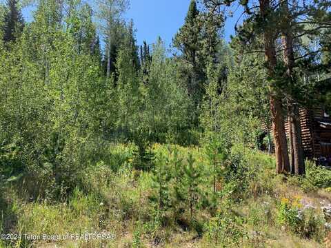 20 BLACKFOOT Trail, Victor, ID 83455