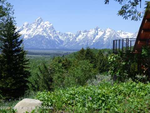 15180 TETON WILDERNESS Drive, Moran, WY 83013