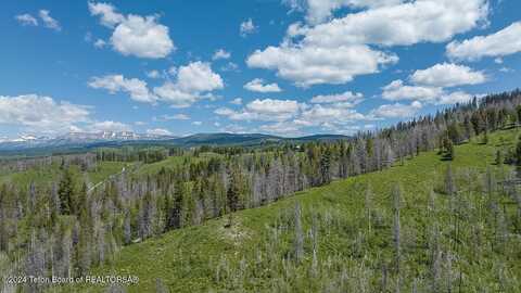 Tbd (1) DEER HAVEN Road, Bondurant, WY 82922