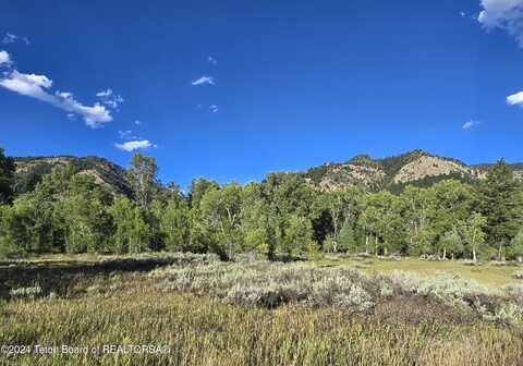 LOT 95 GOLF COURSE - HARDMAN, Star Valley Ranch, WY 83127