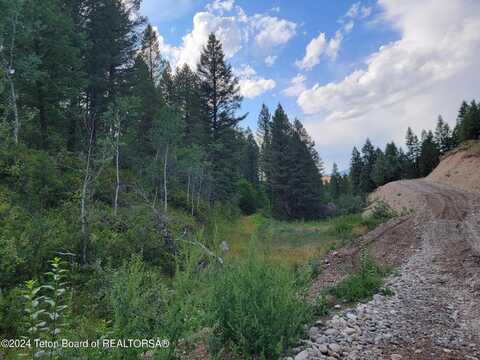 L37b4 CUTTHROAT RUN, Irwin, ID 83428