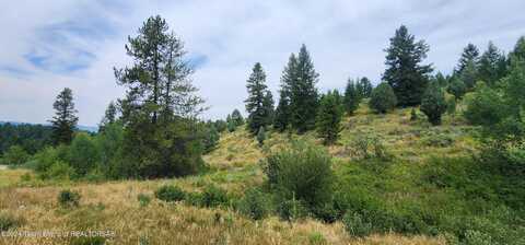 Lot 59 B4 CUTTROAT RUN, Irwin, ID 83428