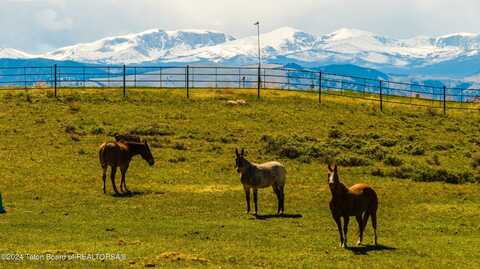 135 HIGH PLAINS Road, Buffalo, WY 82834