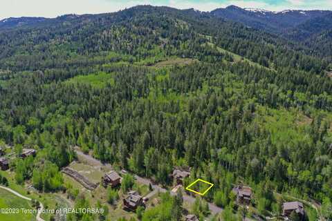 42 BLACKFOOT Trail, Victor, ID 83455