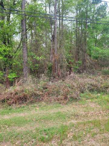 Lot 1 Faceville Highway, Other Georgia, GA 39819