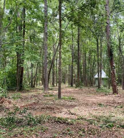 Lot 12 Charles Samuel Drive, TALLAHASSEE, FL 32309