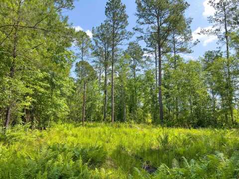 000 S Salt Road, Monticello, FL 32344