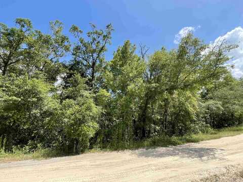 Vacant NW Pin Oak Lane, Jennings, FL 32053