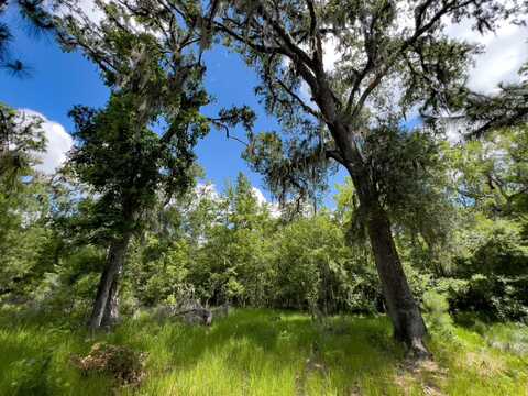 006 Brushy Hammock Road, MAYO, FL 32066