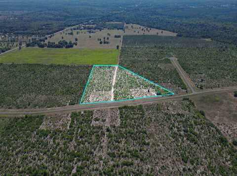 20 Ranches at Telogia Creek, BRISTOL, FL 32334